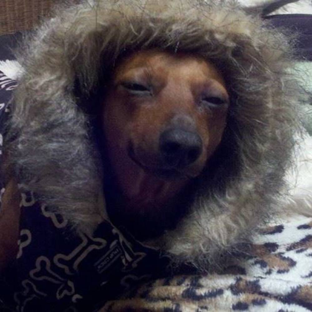 Meet your Posher, Debra